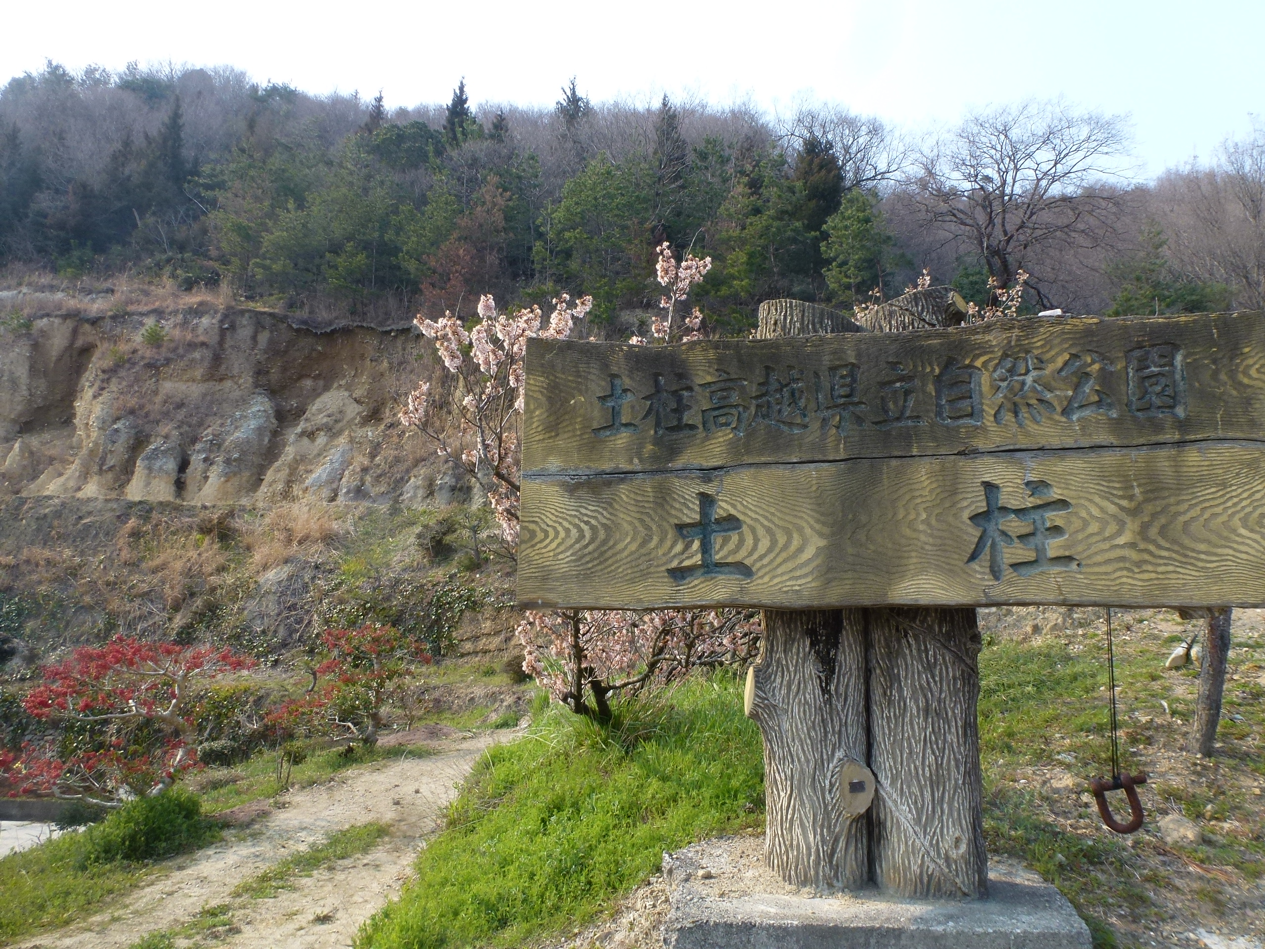 P1150944.JPG