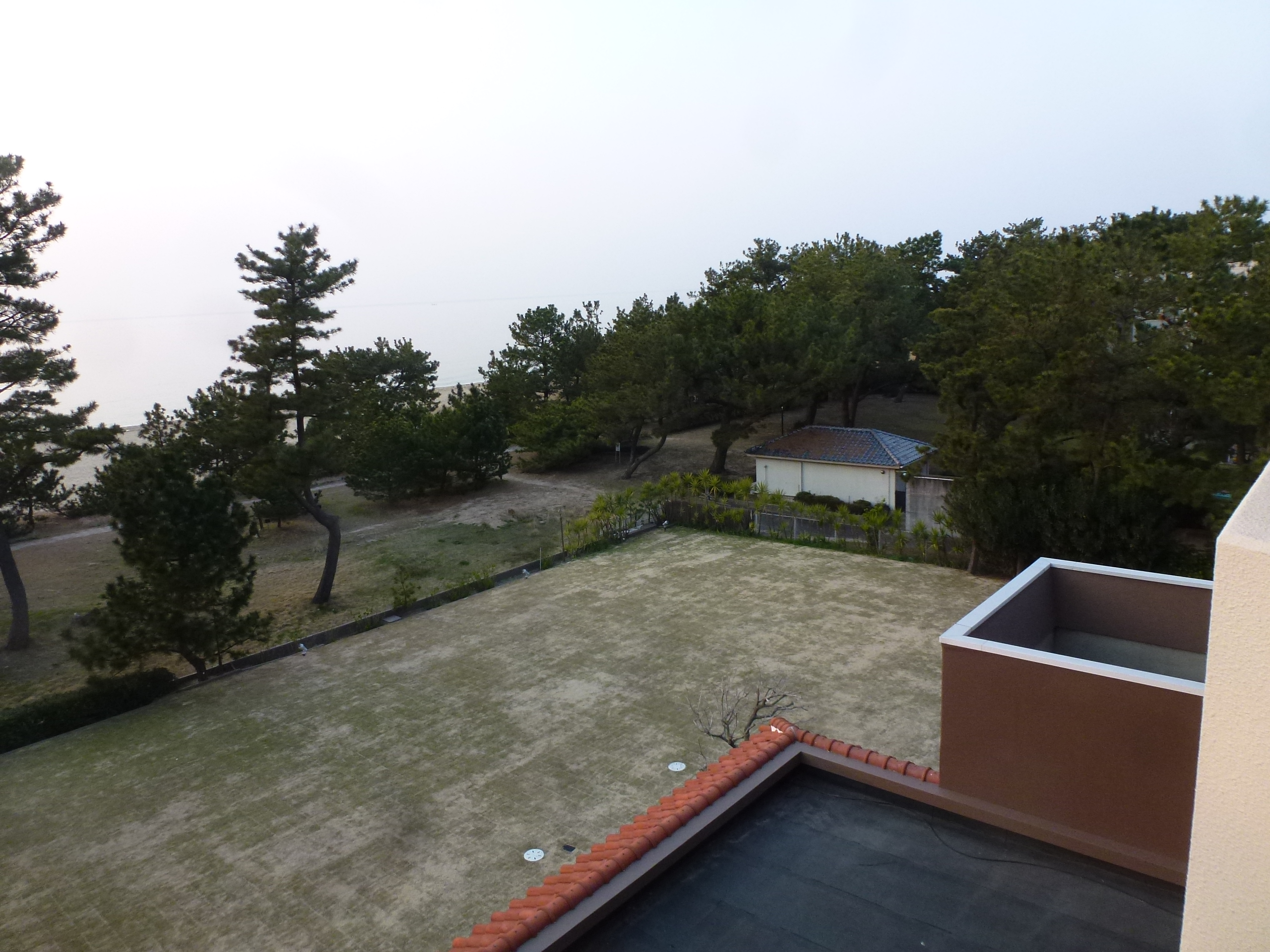 P1150966.JPG