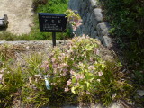 img0003.jpg