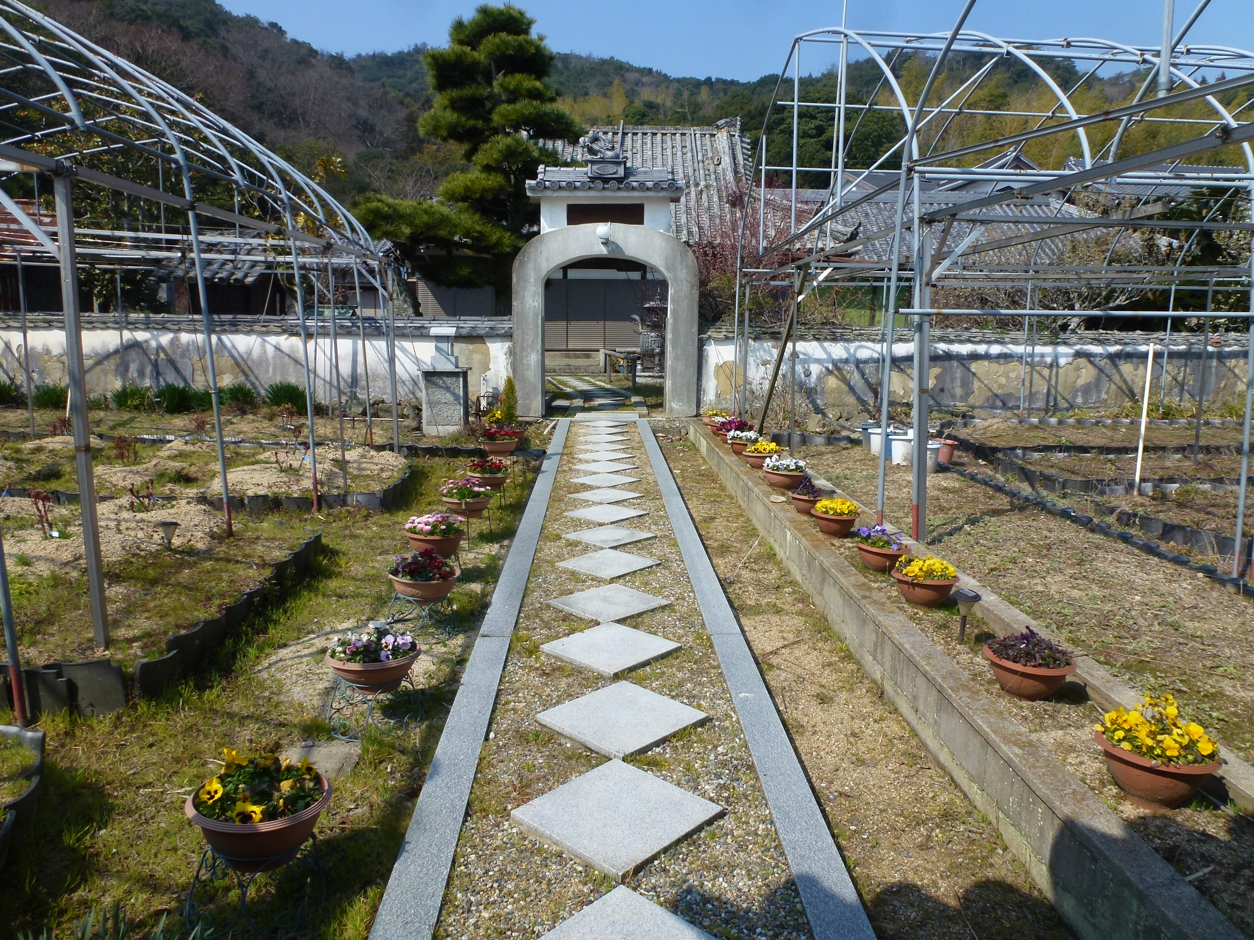 P1160008.JPG
