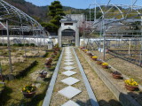 img0009.jpg