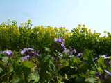 img0012.jpg
