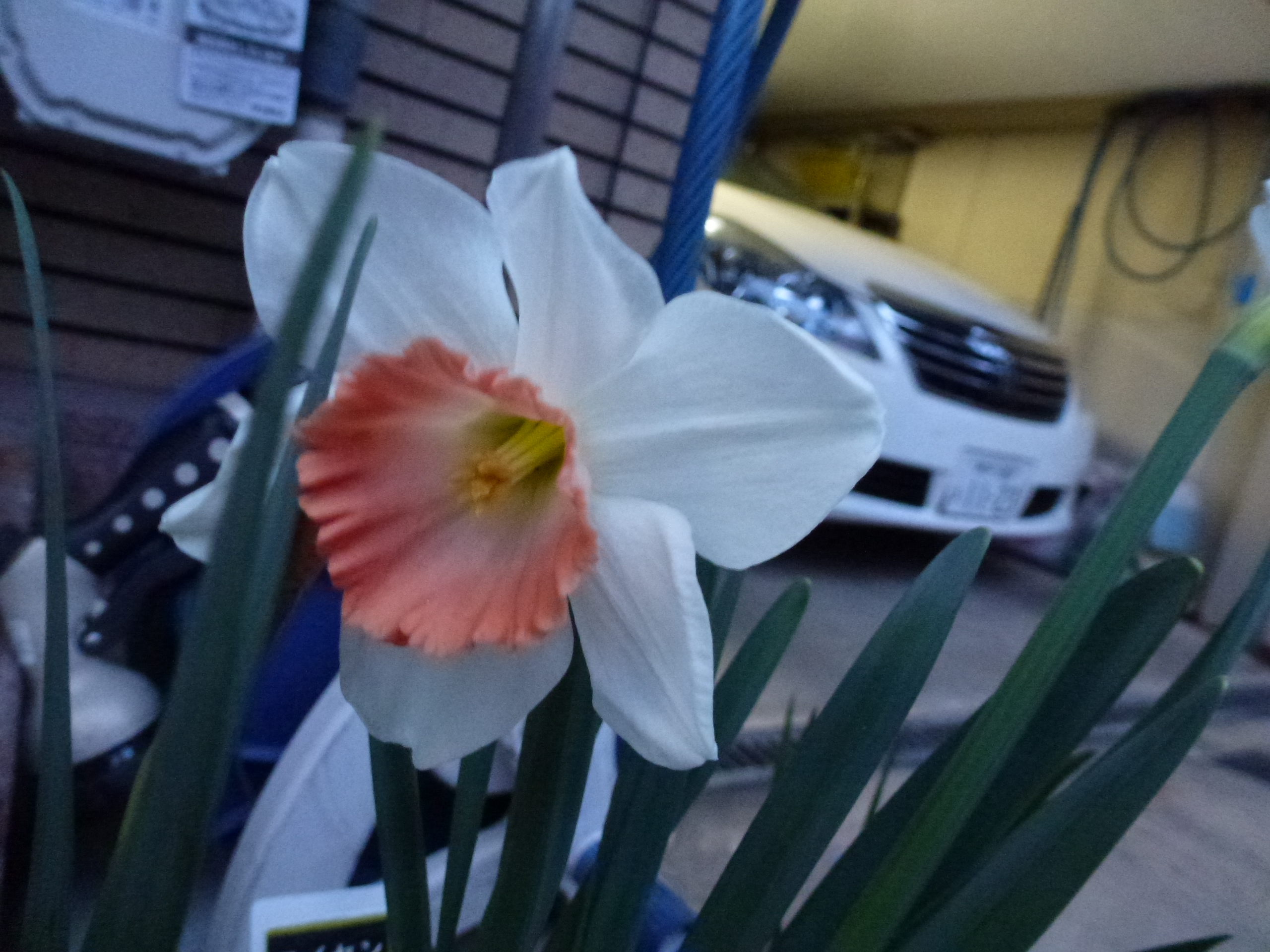 P1160014.JPG