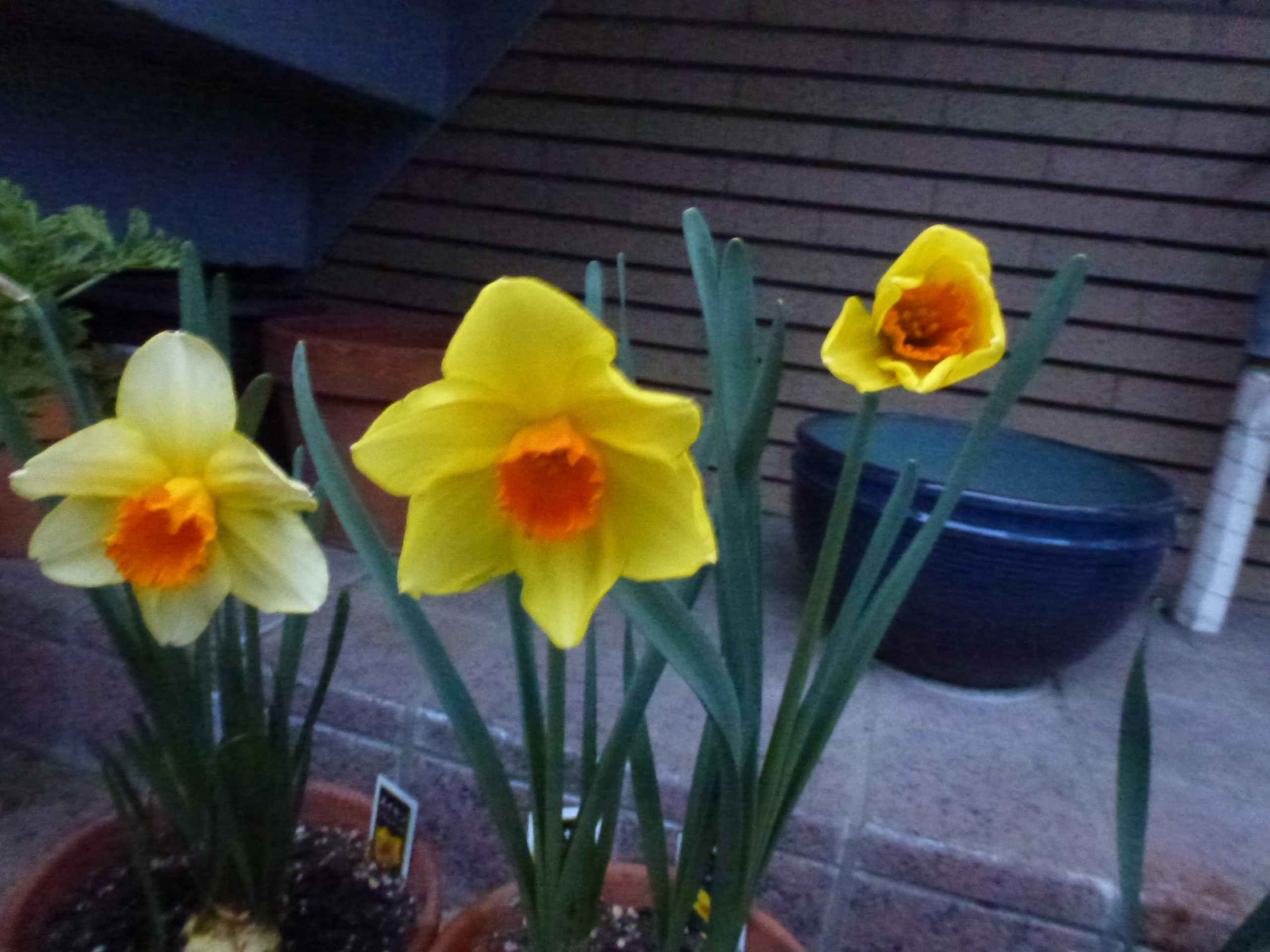 P1160017.JPG