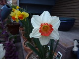 img0000.jpg