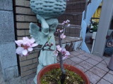 img0007.jpg