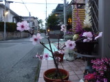 img0009.jpg