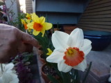 img0010.jpg