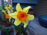 img0021.jpg