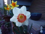 img0022.jpg