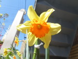img0026.jpg
