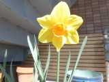 img0028.jpg