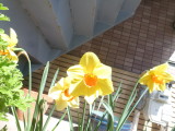 img0029.jpg