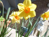 img0030.jpg