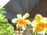 img0032.jpg