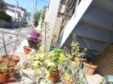 img0033.jpg