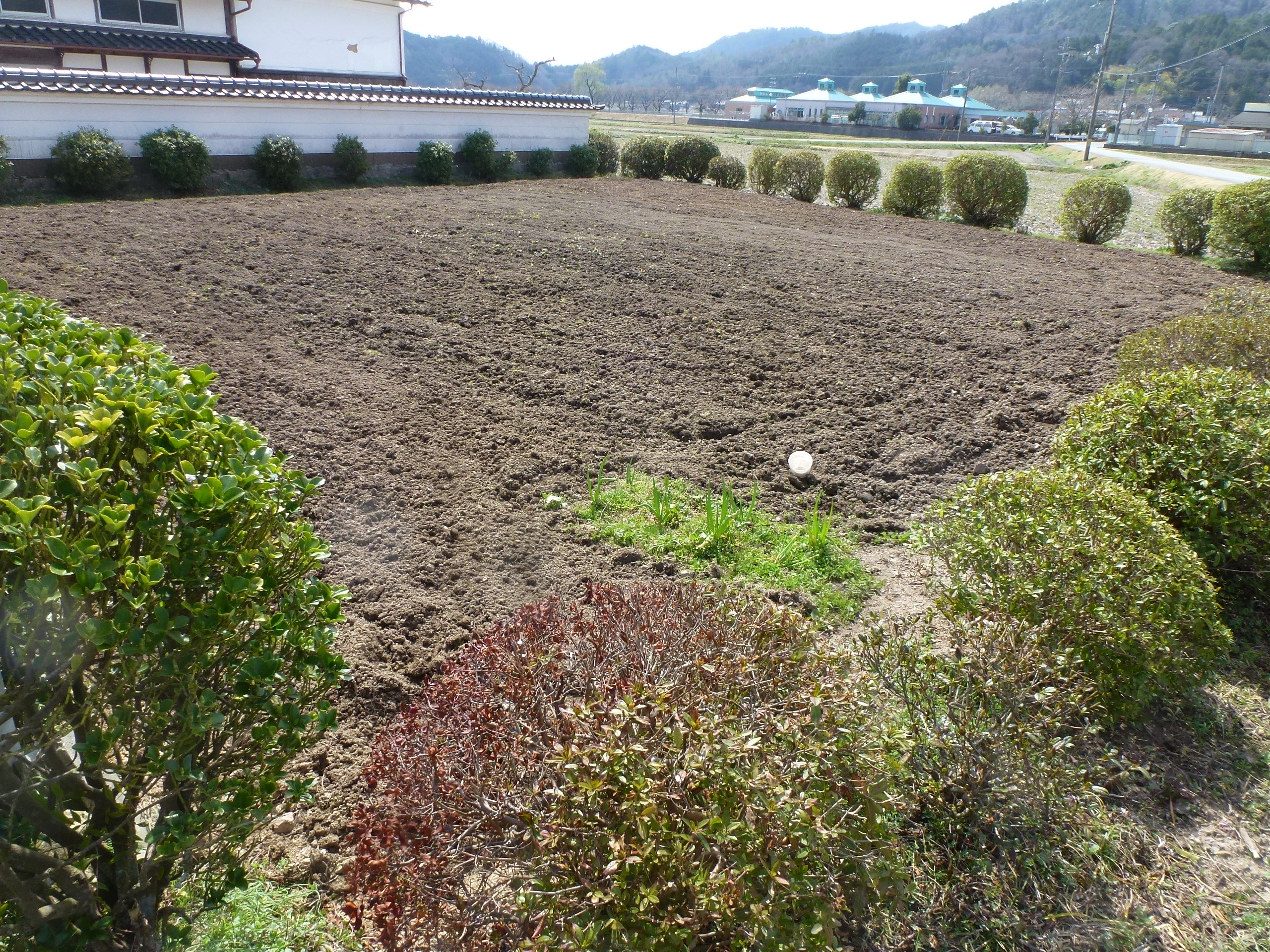 P1160096.JPG