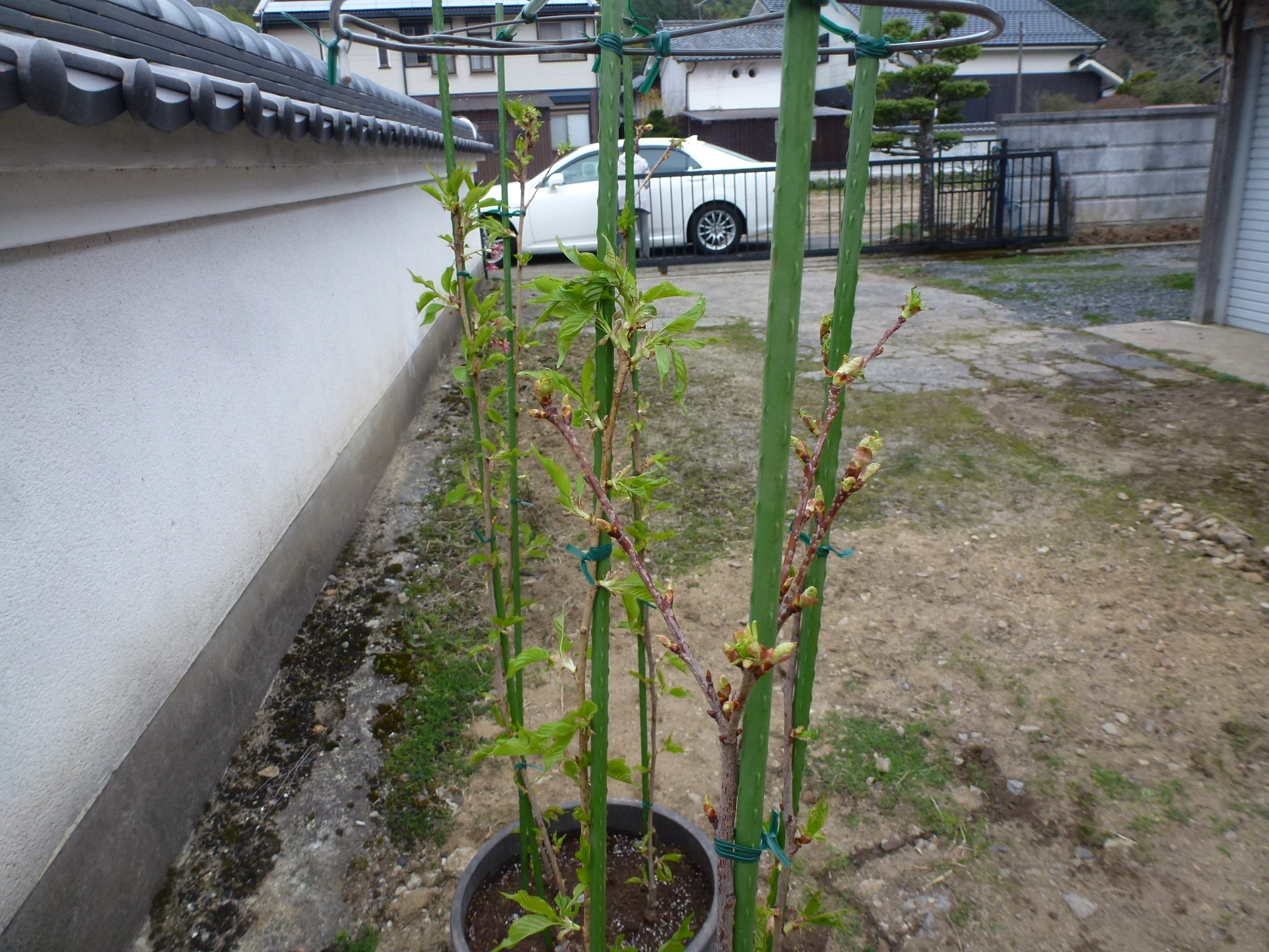 P1160100.JPG