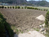 img0000.jpg