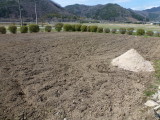 img0001.jpg