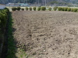 img0002.jpg
