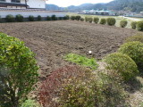 img0003.jpg