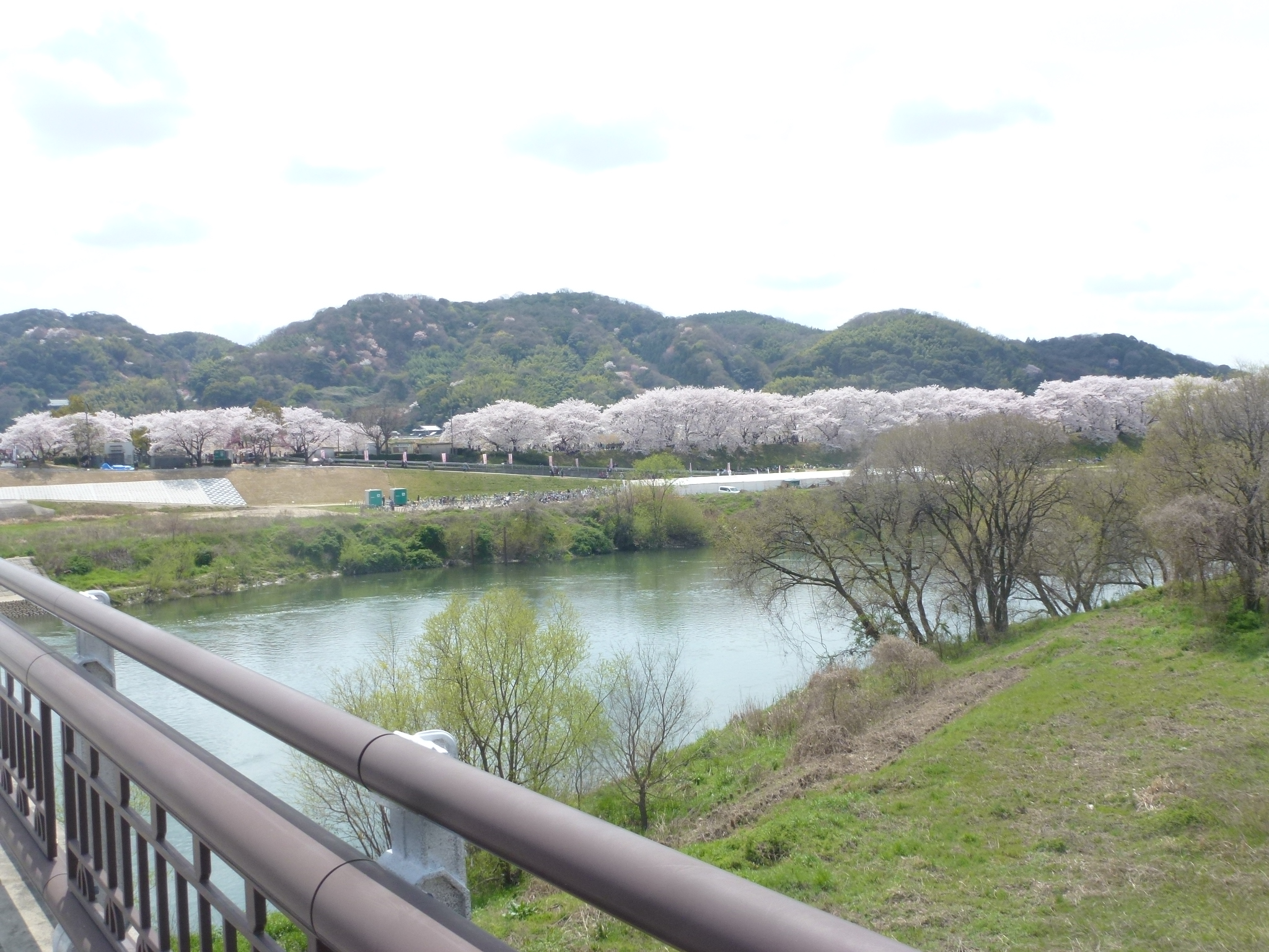P1160119.JPG