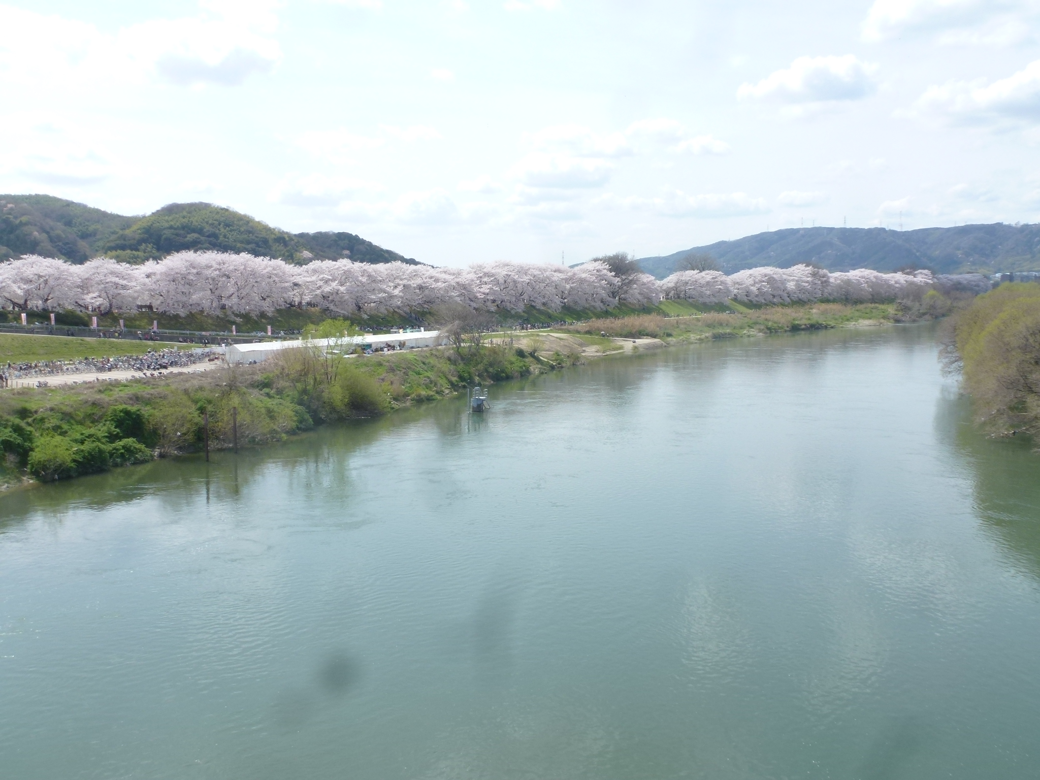 P1160120.JPG