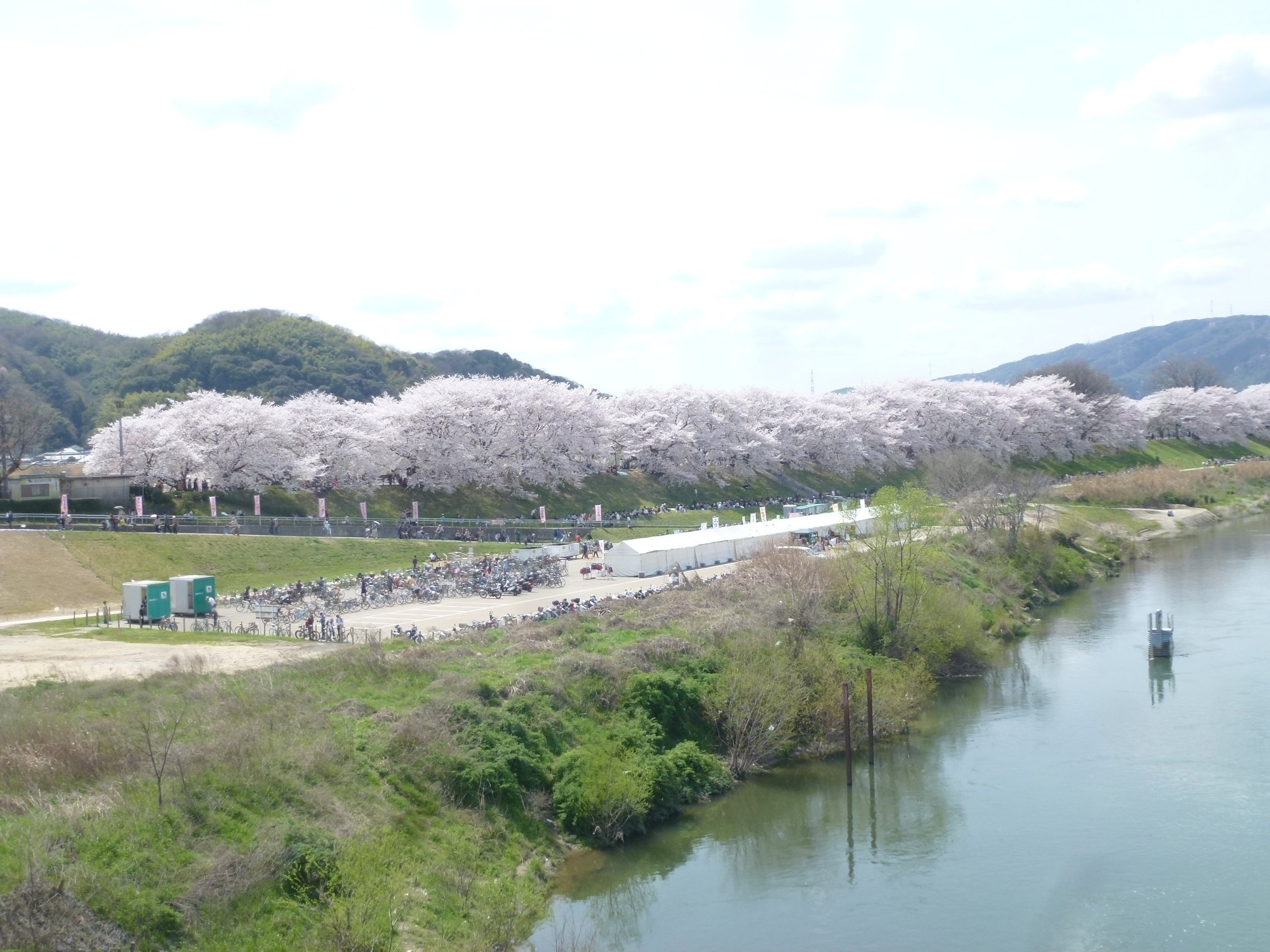 P1160121.JPG