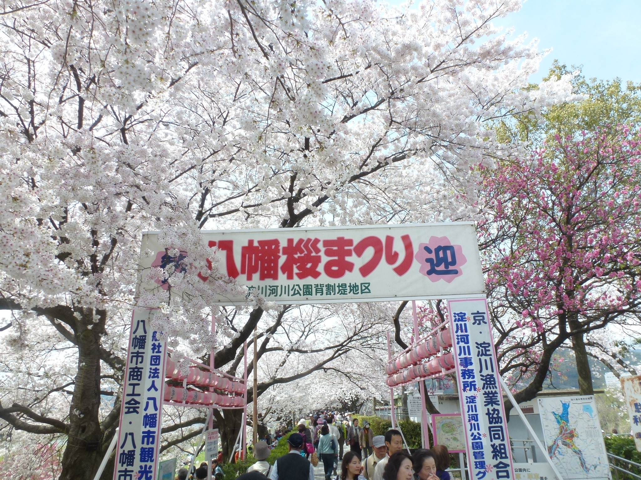 P1160124.JPG