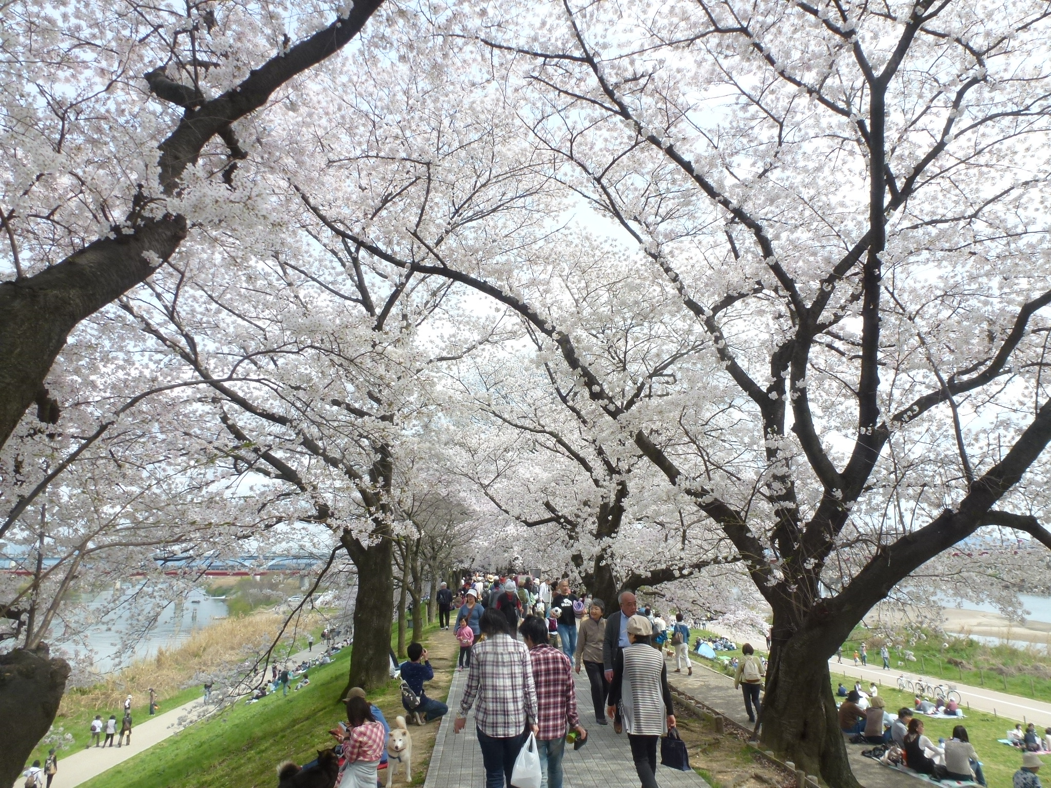 P1160129.JPG