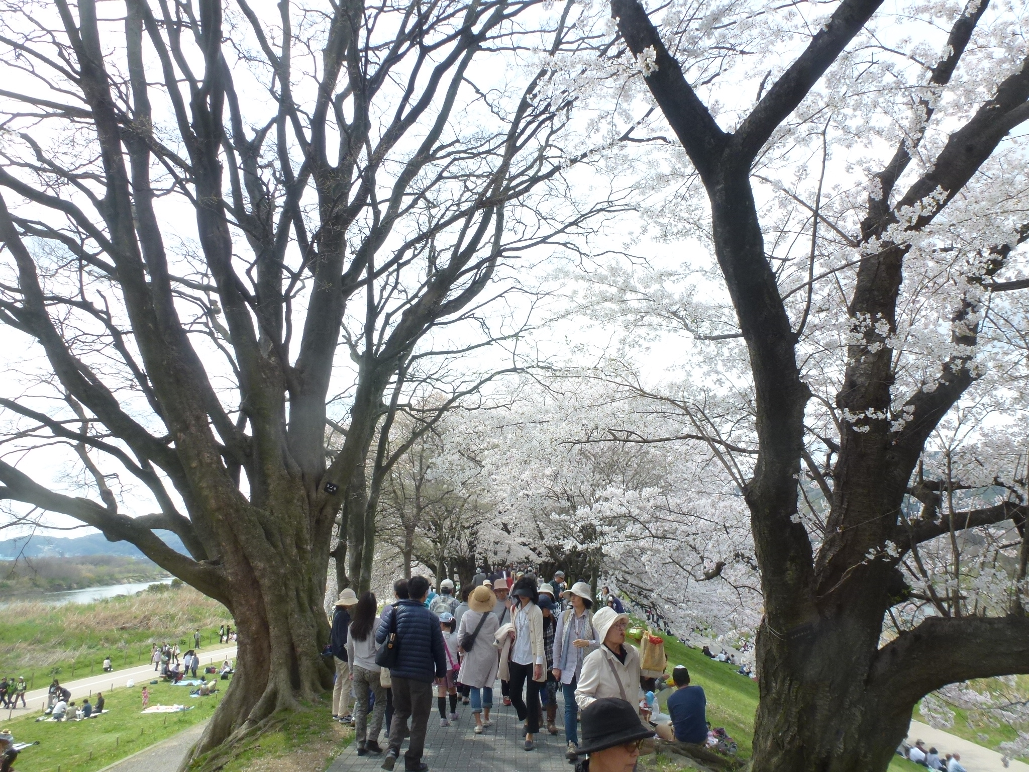 P1160130.JPG