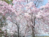 img0004.jpg
