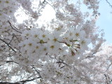 img0007.jpg