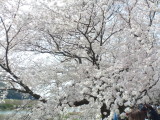img0008.jpg