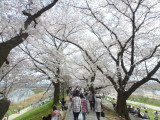 img0010.jpg