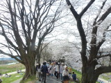 img0011.jpg