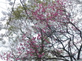img0014.jpg