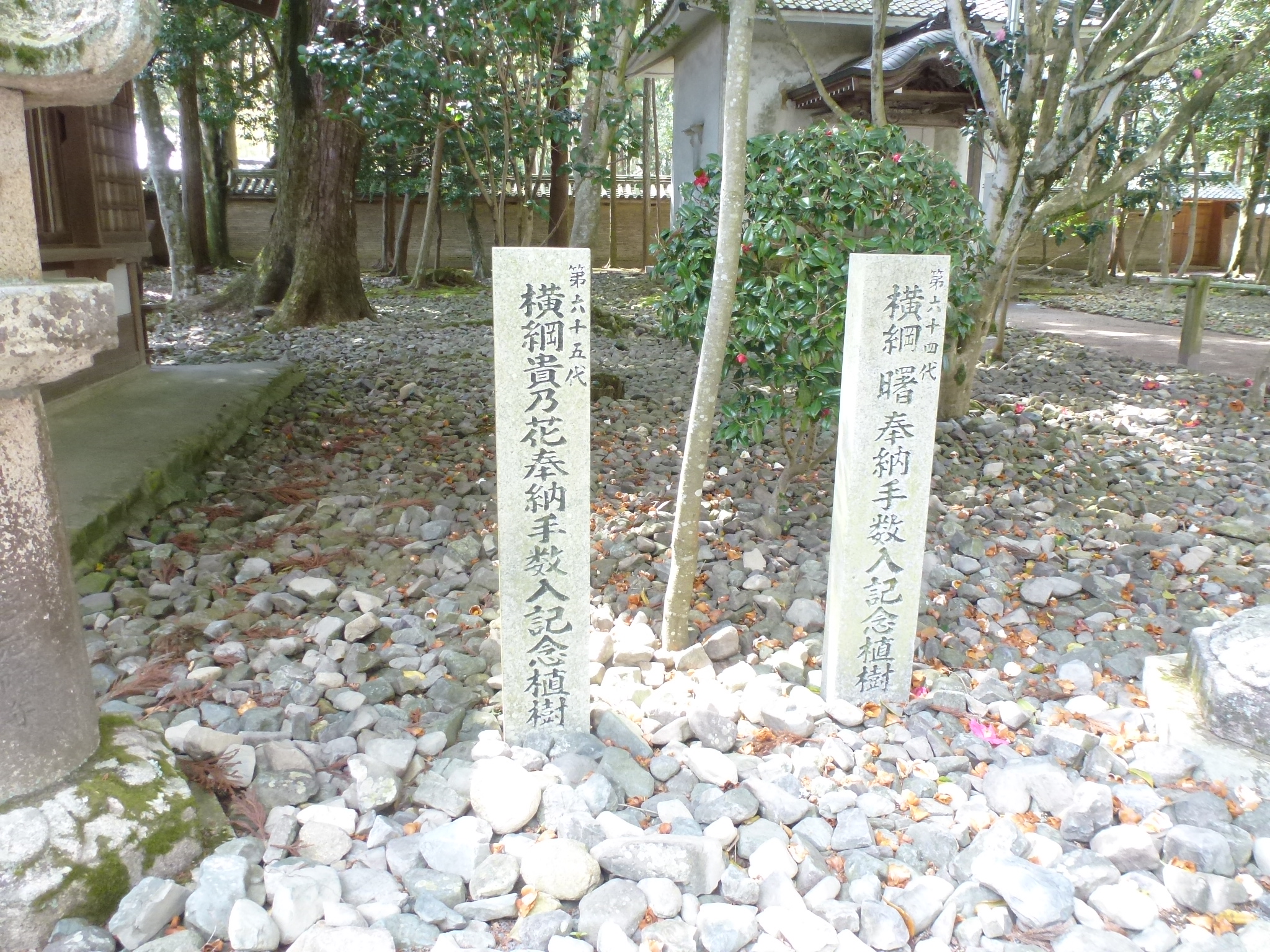 P1160148.JPG