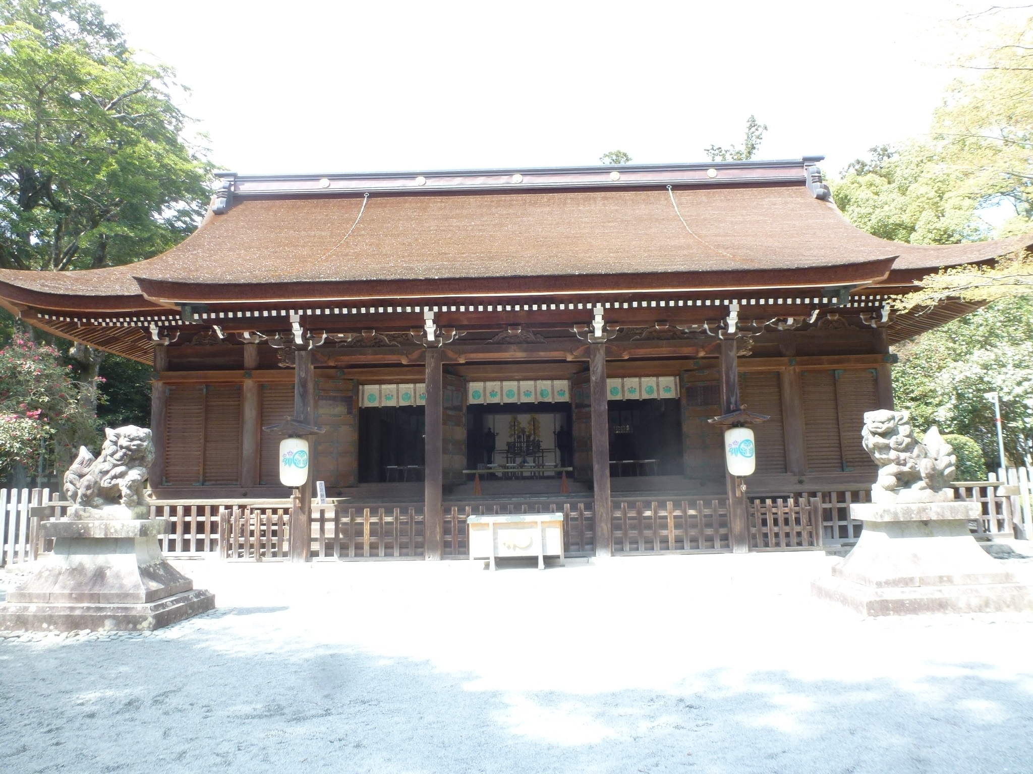 P1160149.JPG