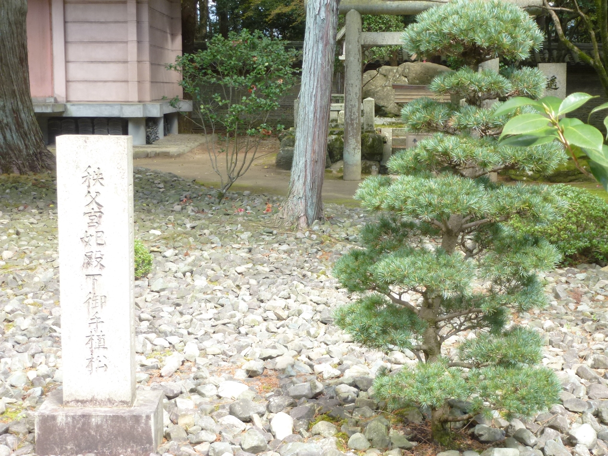 P1160153.JPG