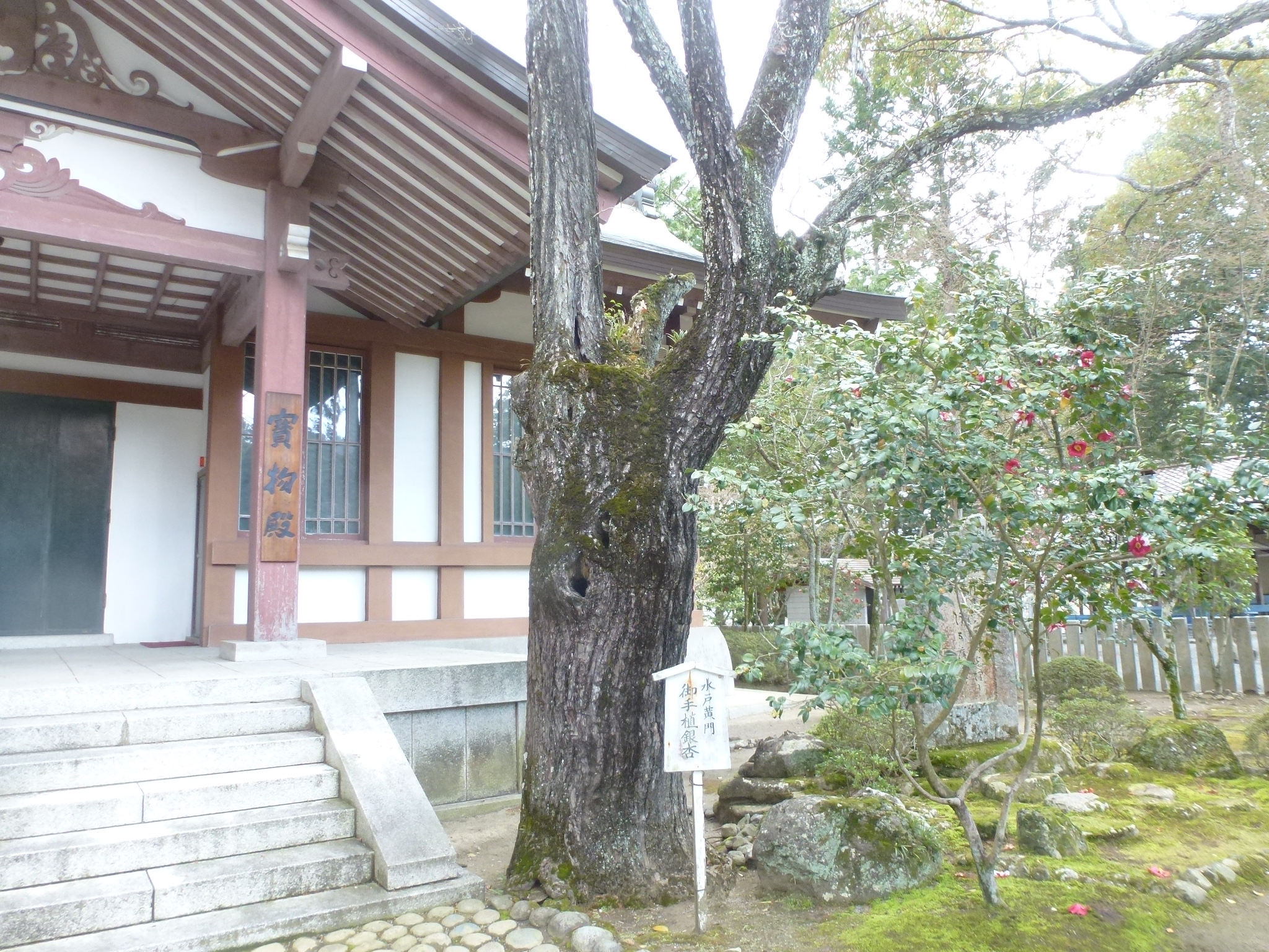 P1160155.JPG