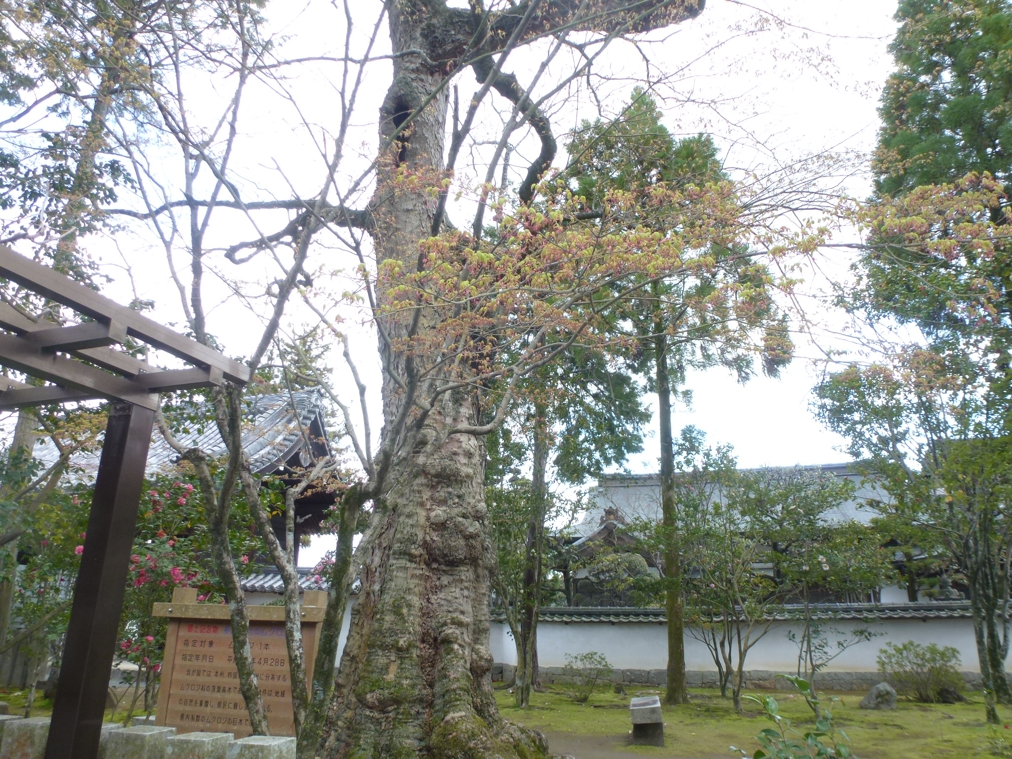 P1160160.JPG