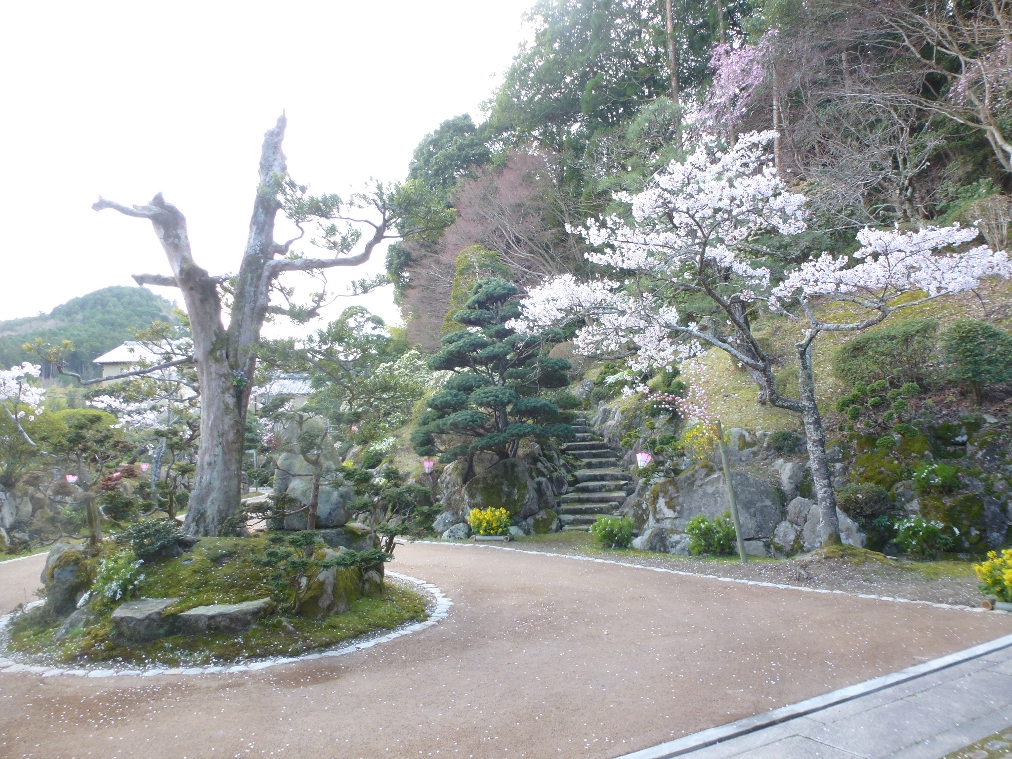 P1160166.JPG