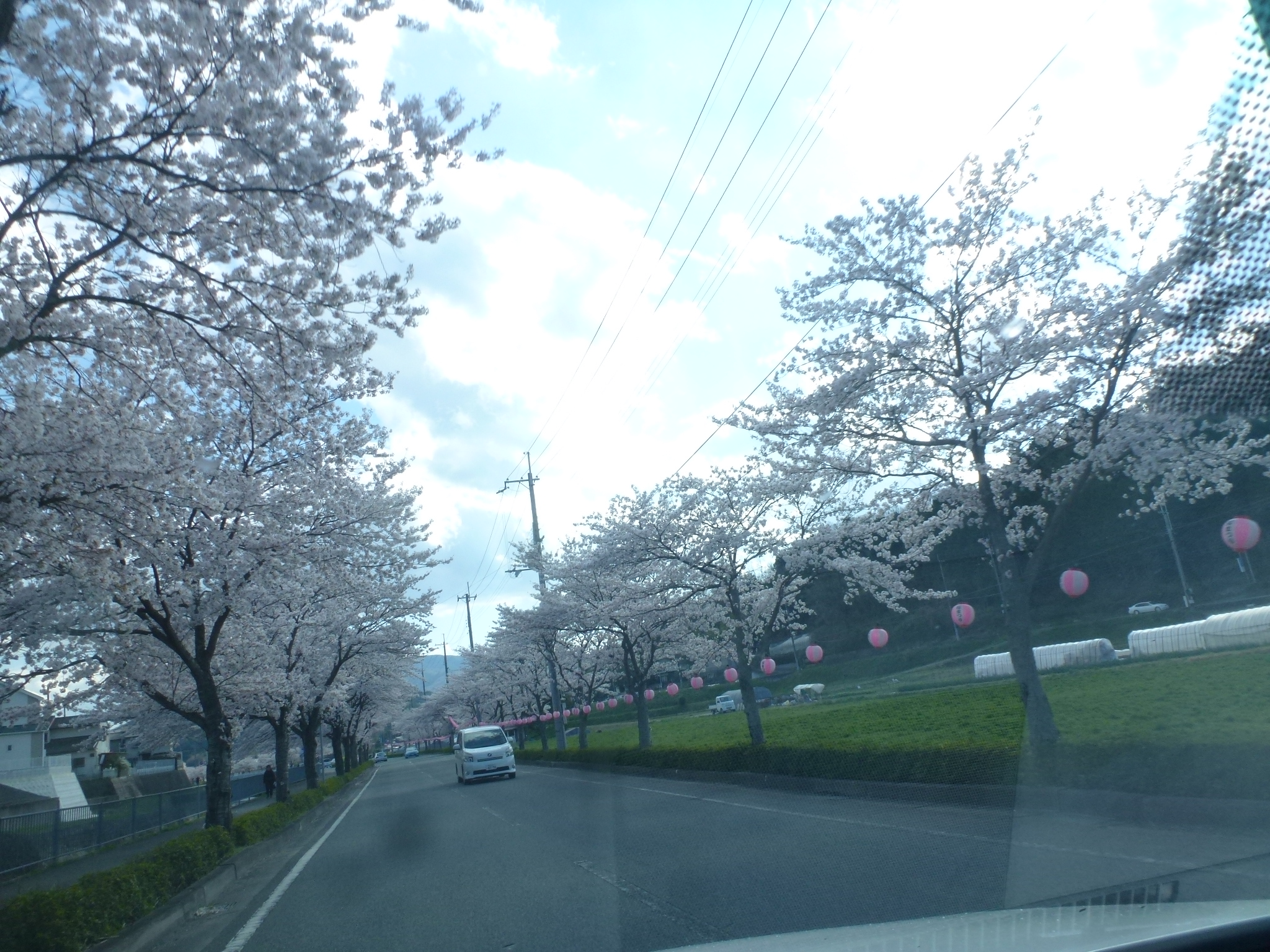 P1160193.JPG