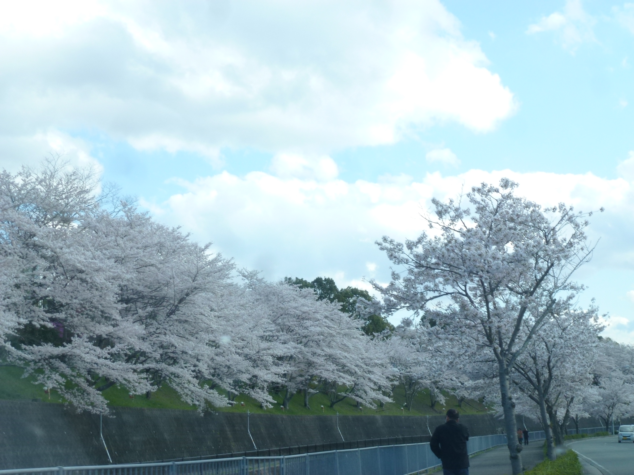 P1160194.JPG