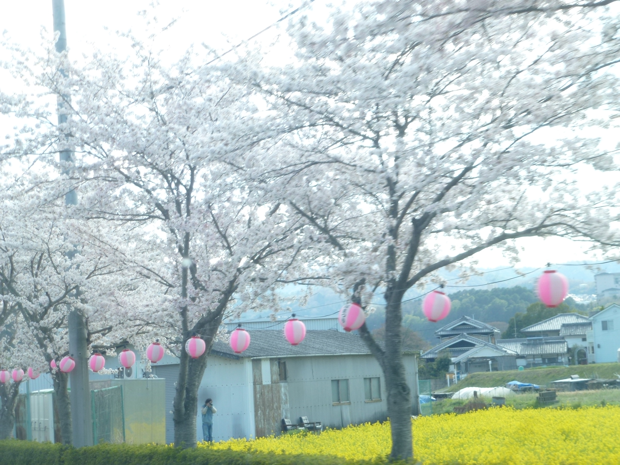 P1160197.JPG