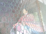 img0007.jpg