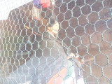 img0008.jpg