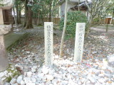 img0009.jpg